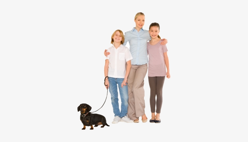 Join Now - Bach Flower Remedies, transparent png download