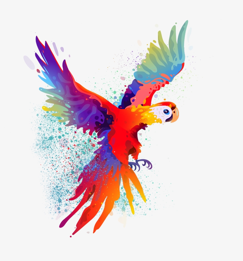 Play Video - Sketches App Parrot, transparent png download