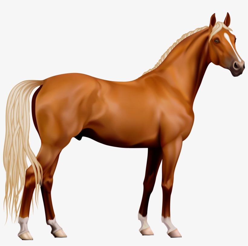Transparent Horse, transparent png download