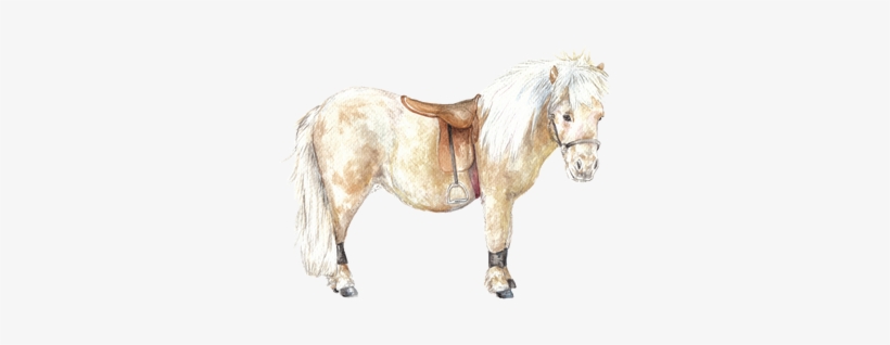 This Is A Signed, Limited Edition Archival Quality - Mane, transparent png download