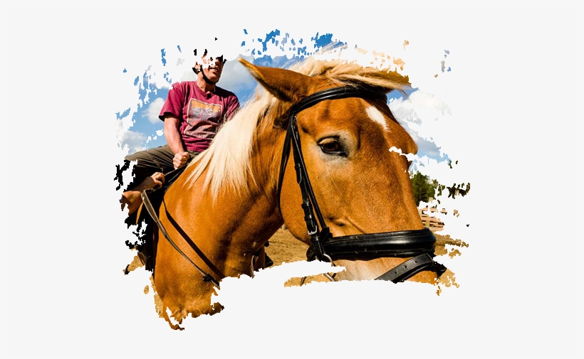 Overnight Excursions - Log House, transparent png download