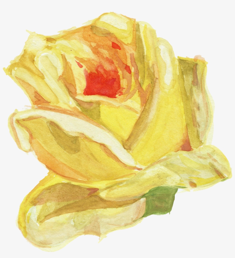 Watercolour Flower Png Image Library Stock - Watercolor Flower Drawing Png, transparent png download