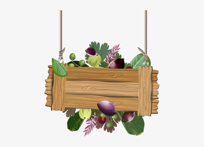 Watercolor Indian Almond Tropical Fruits With Wooden - Tropical Fruit, transparent png download