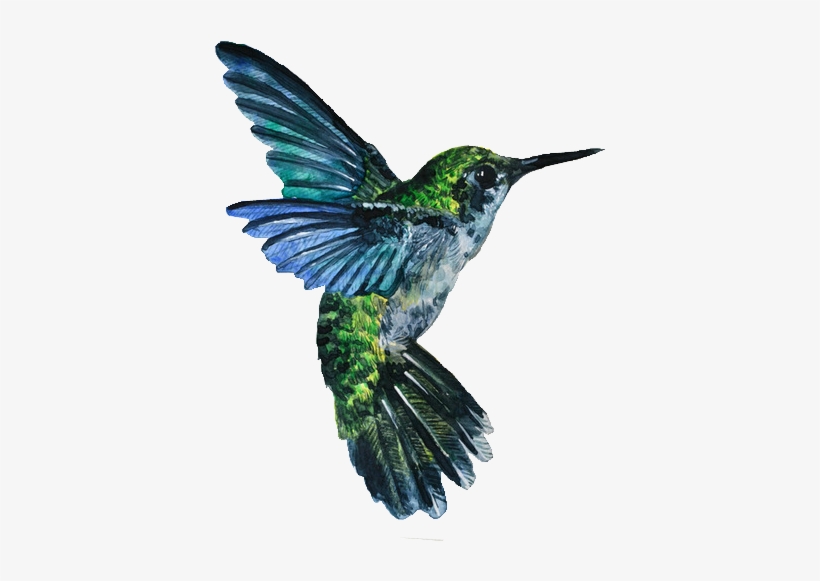 Art Watercolor Bird Transparent Transparent Bird - Watercolor Bird Transparent Background, transparent png download