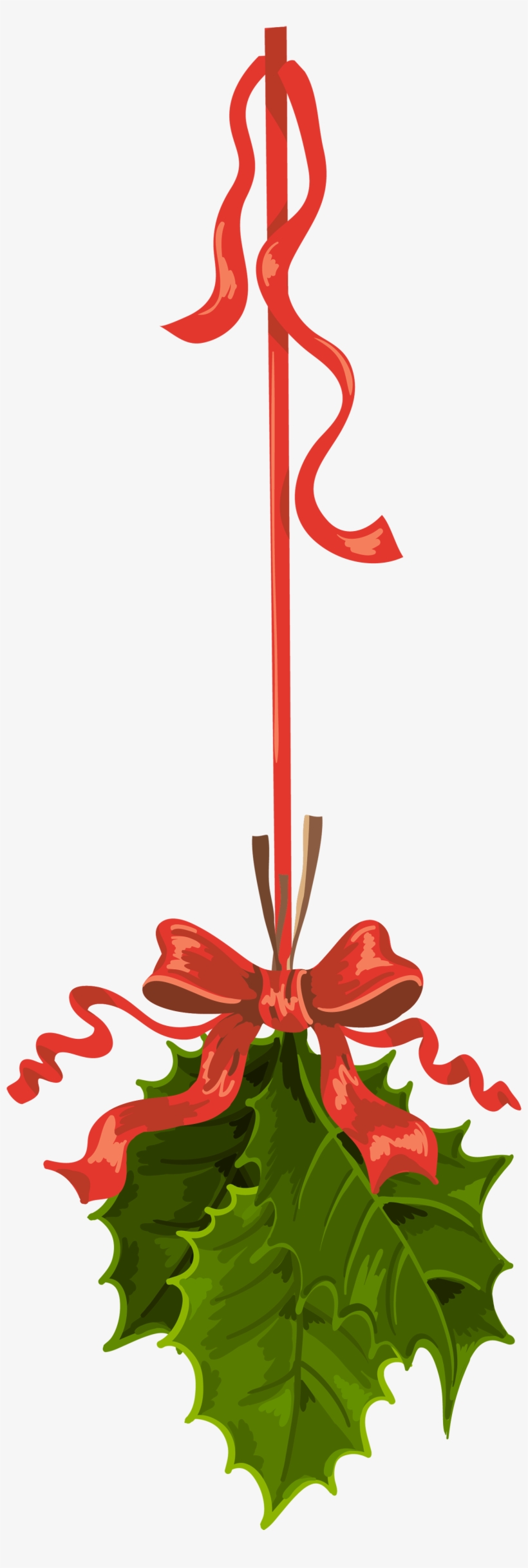 Transparent Christmas Hanging Mistletoe Png Clipart - Mistletoe 13 Oz Heavy Duty Vinyl Banner, transparent png download