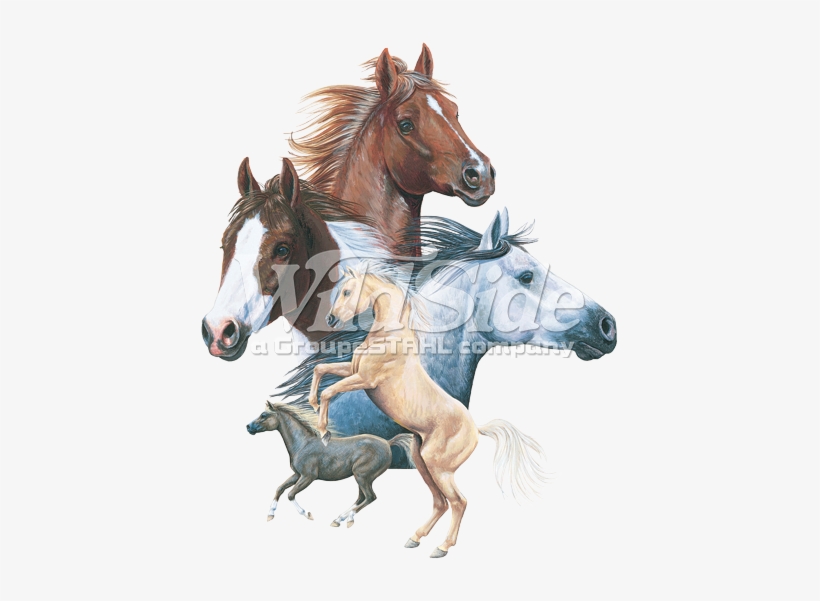 5 Horses Youth - Bits And Pieces 550 Piece Shaped Puzzle Horse Show, transparent png download