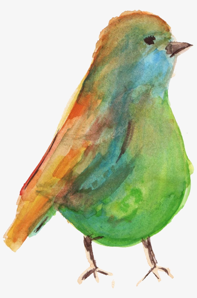 Water Color Bird Png - Watercolour Bird Png, transparent png download
