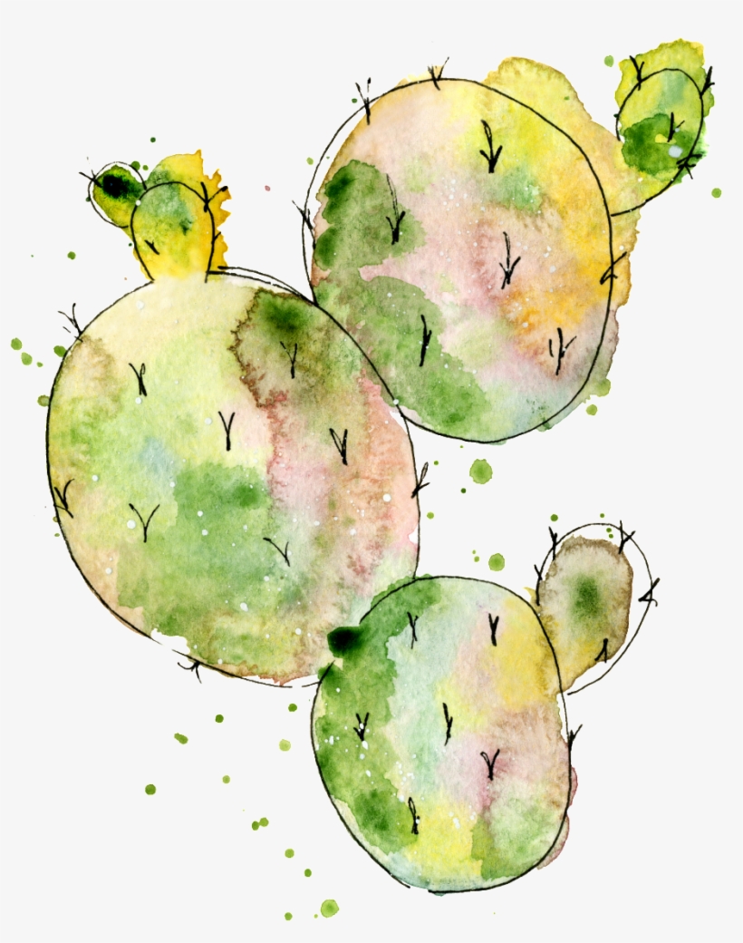 75r58pictnv 1024 X Oss Process=image/quality,q 70/watermark - Cactus Abstract Watercolor, transparent png download