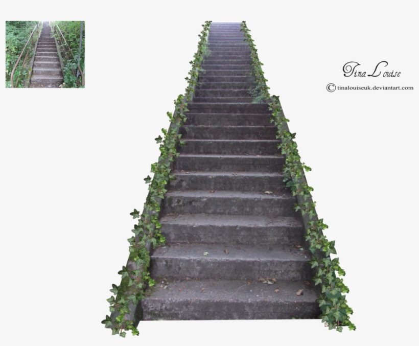 Stairs Png Photos - Stairs Png, transparent png download