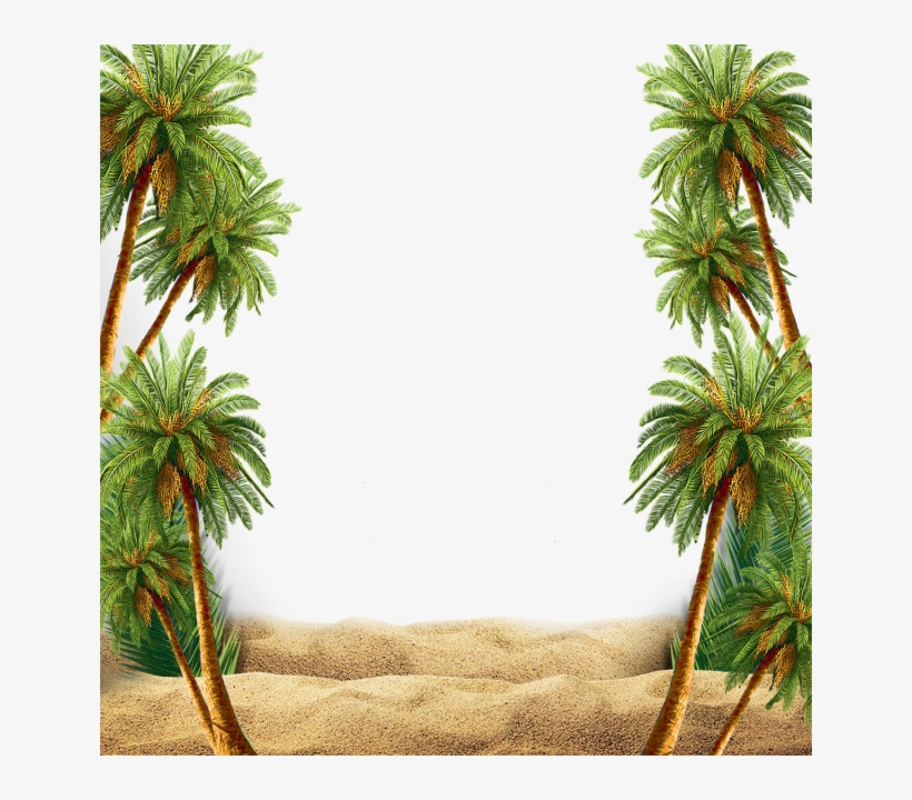 Summer Beach Scene With Palm Tree, Summer, Beach, Palm - All Is Forgiven, When Rooted In Love, transparent png download