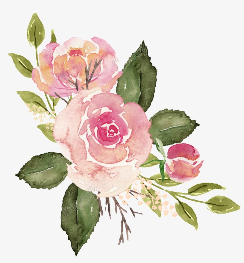 Watercolor Roses Png Free Matting, transparent png download