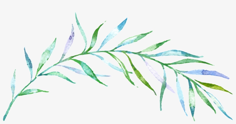 Clipart Download Thin Green Free Download Png Files - Watercolor Painting, transparent png download