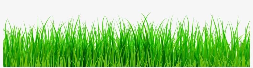 Green Grass Png Clip Art - Grass Png, transparent png download