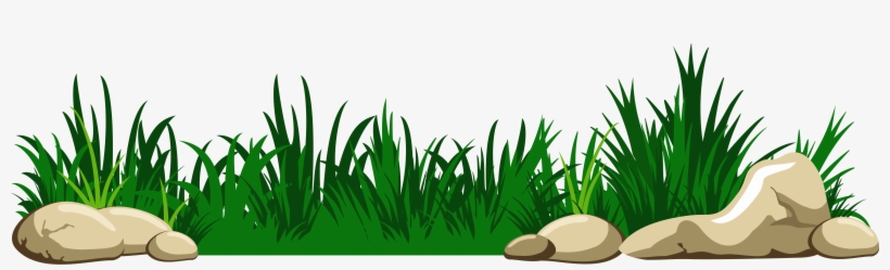 Download Amazing High-quality Latest Png Images Transparent - Grass Clipart, transparent png download