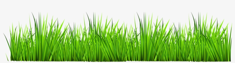 Green Grass Png Image - Grass Clipart, transparent png download