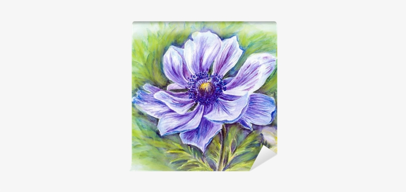 Wall Mural • Pixers® • We Live To Change - Anemone, transparent png download