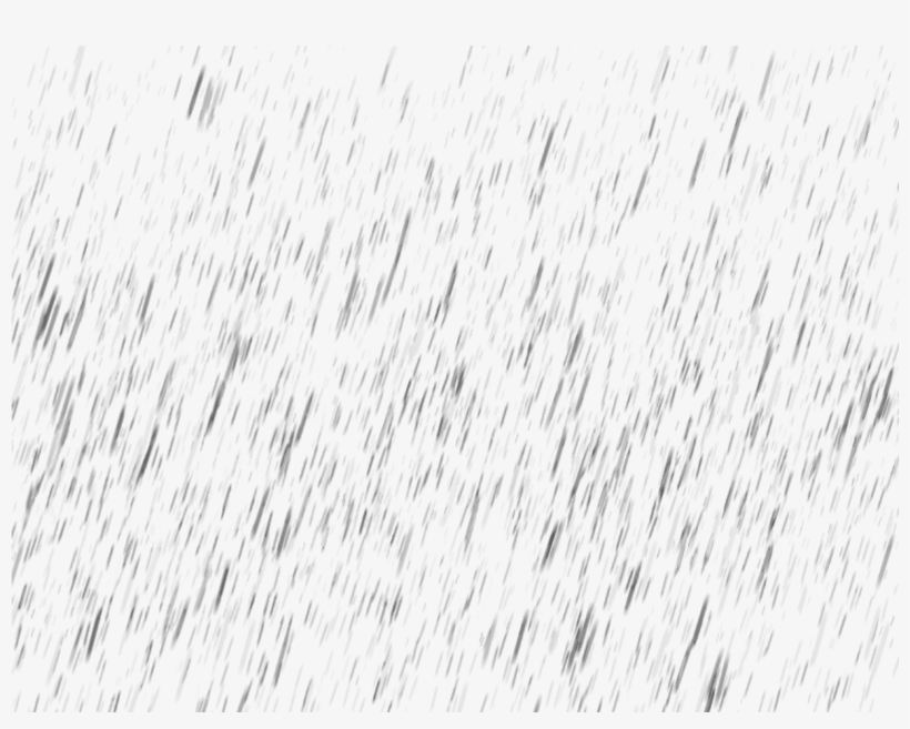 Transparent Rain Png Clipart Library Download - Bird, transparent png download