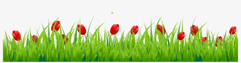 Grass With Flower Png, transparent png download