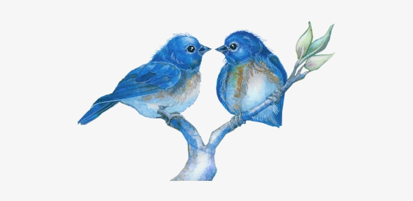 Watercolor Bird Png Vector Library - Good Evening In Birds, transparent png download