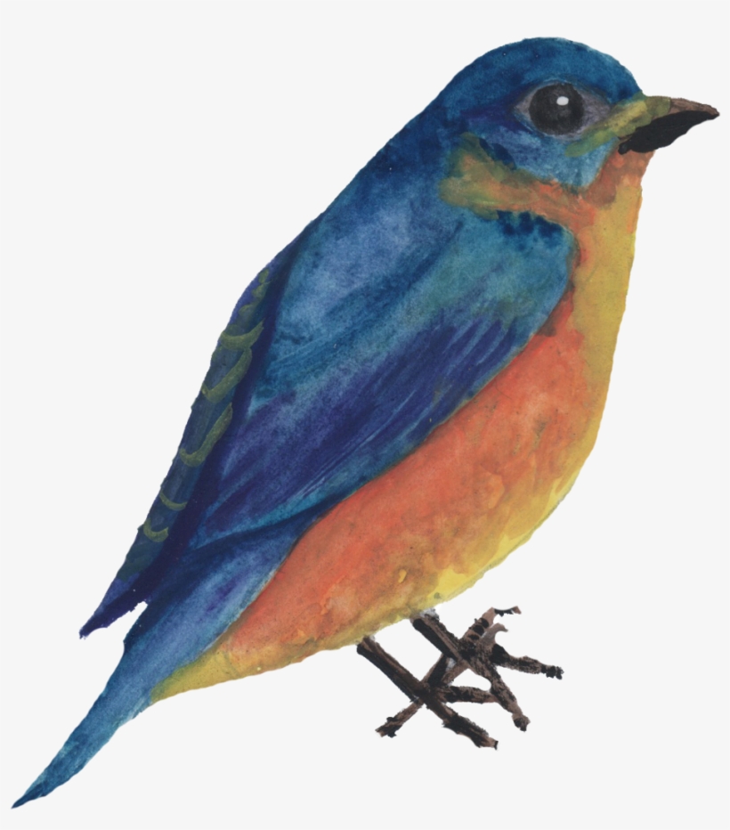 Watercolor Bird - Watercolor Painting, transparent png download