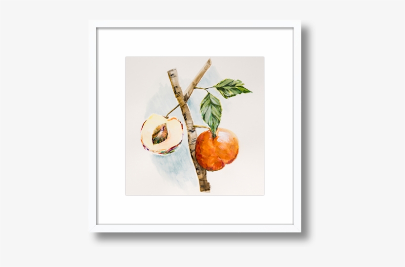 Wall, transparent png download