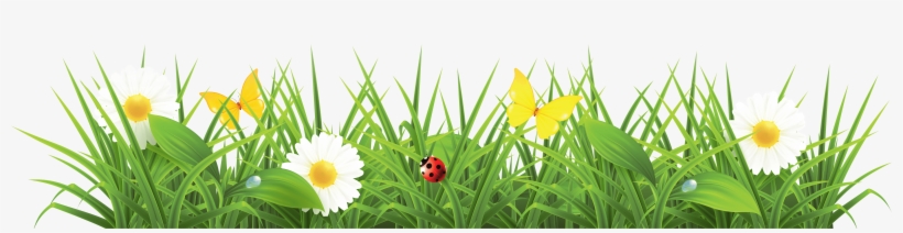 Png Grass, transparent png download