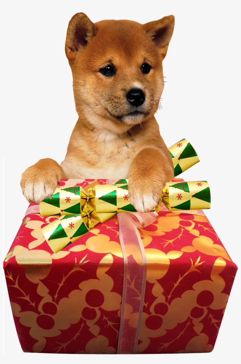 Christmas Animals No Background, transparent png download