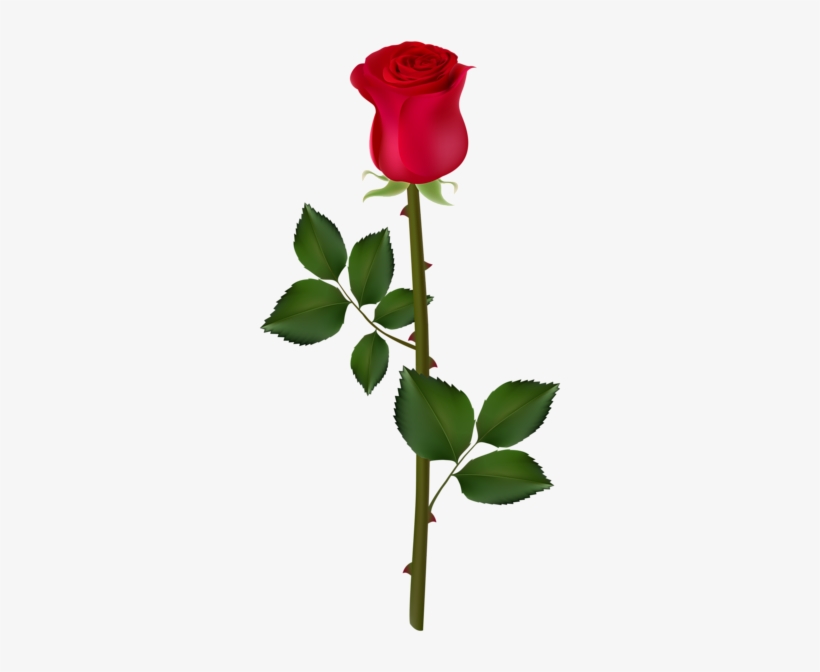 Rose Flower Png, Red Rose Png, Rose Flower Tattoos, - Red Rose Png, transparent png download
