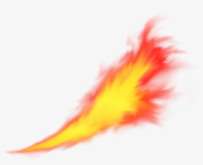 Free Download - Macro Photography, transparent png download