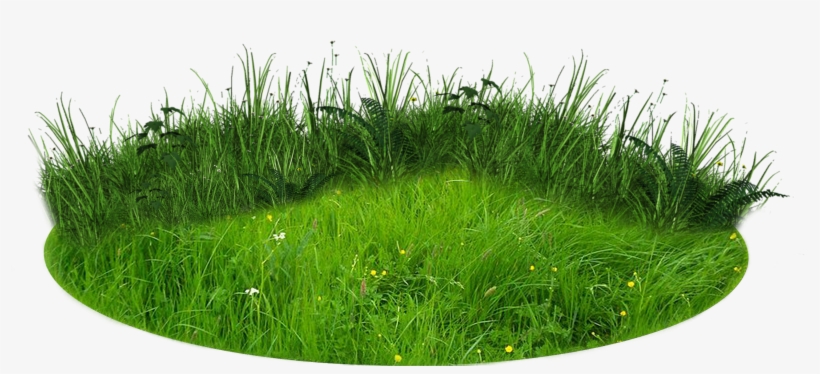 Download Png Imges Free - Grass Effect Png, transparent png download
