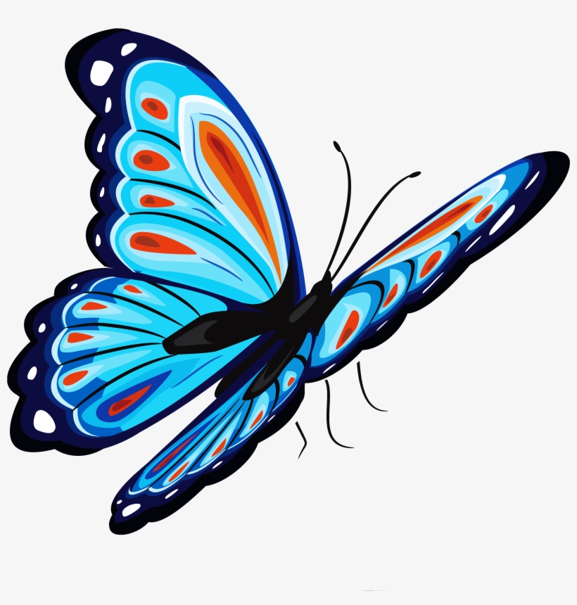 Butterfly Png, transparent png download