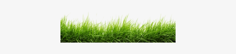 Portable Network Graphics, transparent png download