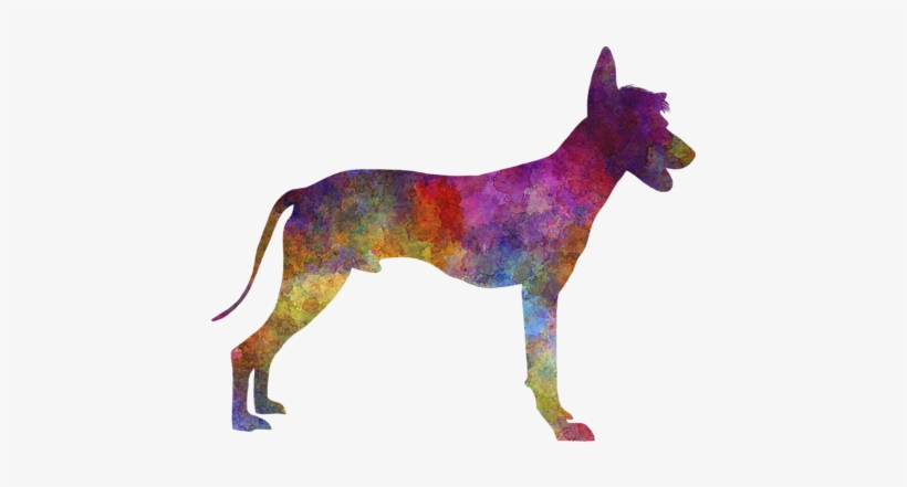 Bleed Area May Not Be Visible - Peruvian Hairless Dog Im Watercolor Rundes Keramik, transparent png download
