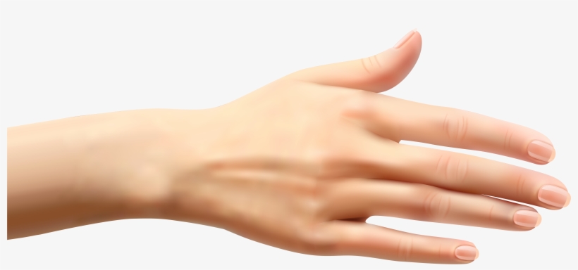 Hand Png, transparent png download