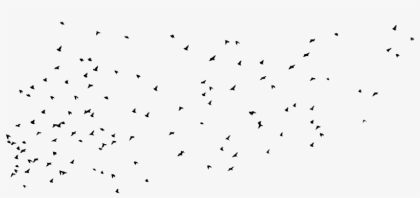 Png Images For Ios Users, Will Upload Zip File Soon - Group Of Birds Png, transparent png download