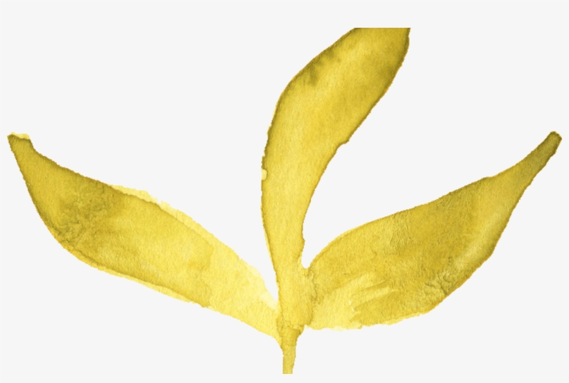 6 Watercolor Yellow Leaf Onlygfxcom - Watercolor Painting, transparent png download