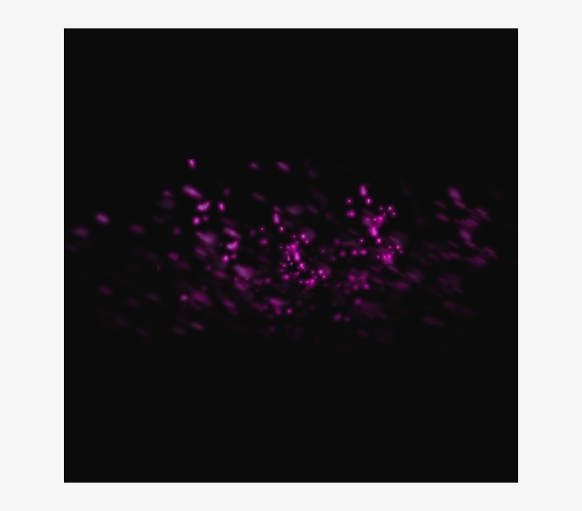 Shine Light, Shiny Sparkle, Easter Graphic, Sparkle - Light, transparent png download