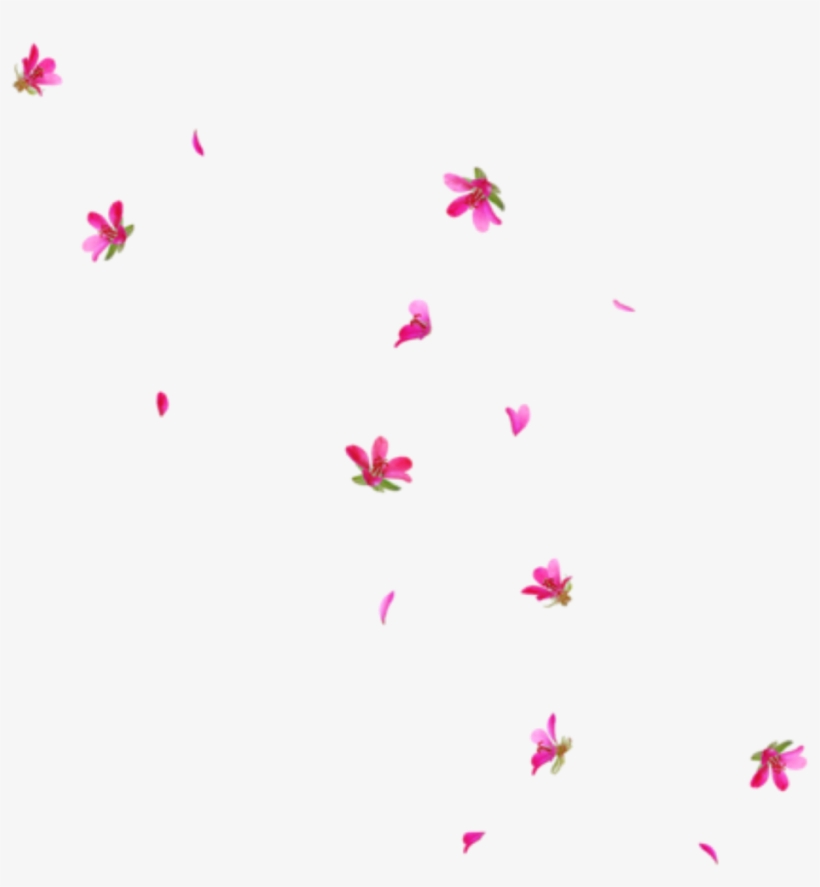 Rain Interesting Art Tumblr Pngs Png Flowers Freetoedit - Rain Of Flowers Png, transparent png download
