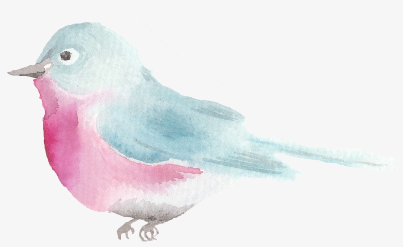 Spring Watercolor Birds Png Image Transparent Png Free Download On Seekpng