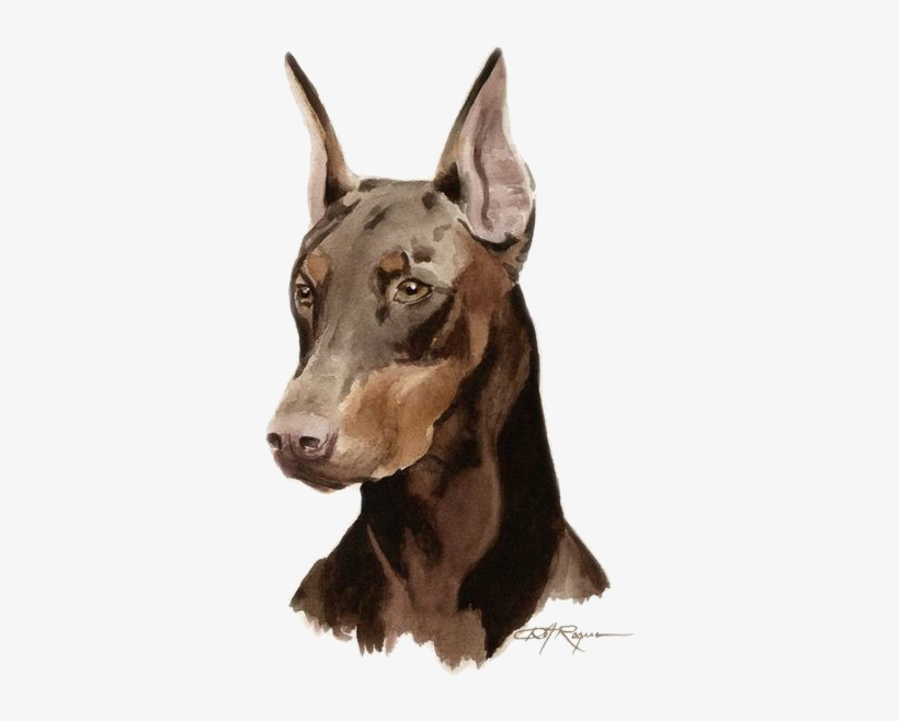 Bonny Dark Brown Watercolor Doberman Tattoo Design - Dog Art Doberman, transparent png download
