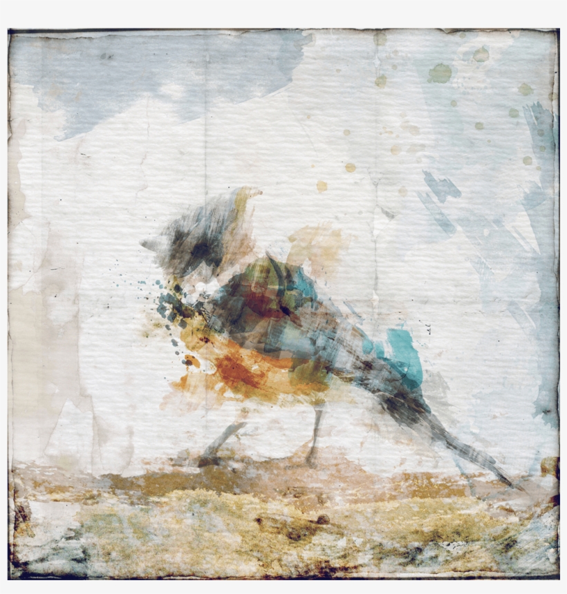 Leftbank Art Watercolor Bird Ii Canvas Wall Art, transparent png download