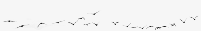 Png Images For Ios Users, Will Upload Zip File Soon - Drawing, transparent png download