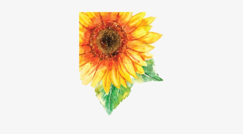 Picture Inkess Sun Please - Water Color Sunflower Transparent Png, transparent png download