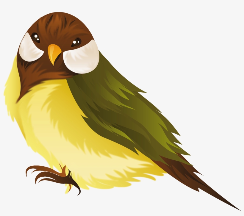 Bird Clipart Transparent Png, transparent png download