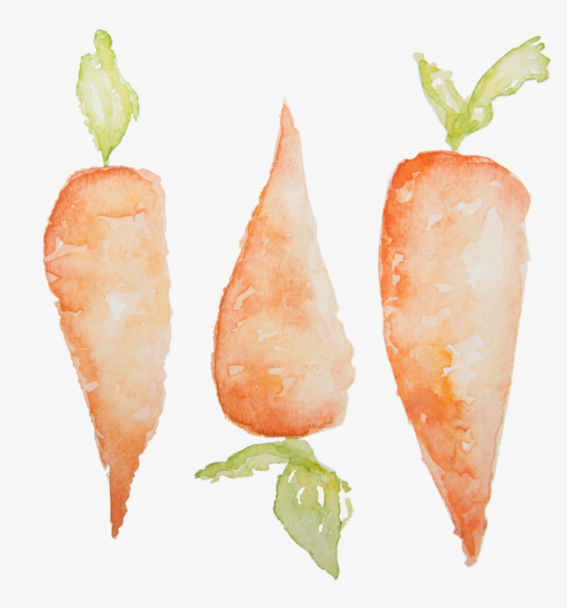 Clip Black And White Stock Carrots Design Annieb Tlc - Carrot, transparent png download