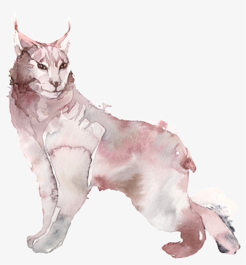 Watercolor Painting, transparent png download