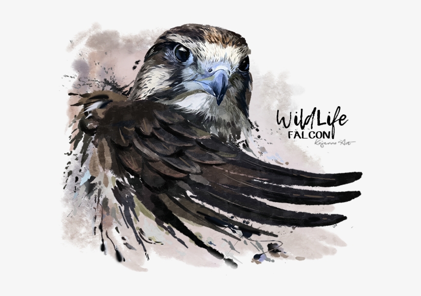 Falcon By Kajenna Deviantart Com On Wild - Falcon Png, transparent png download