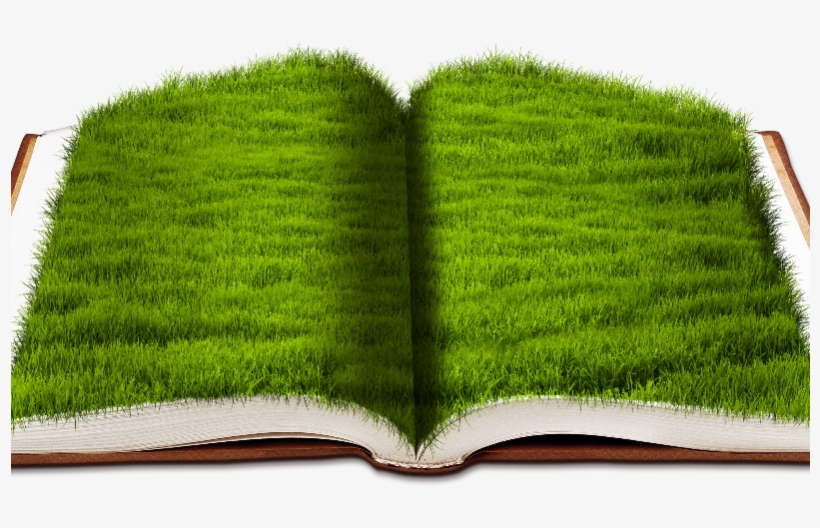 27+ Nature Png Background Images Hd Background