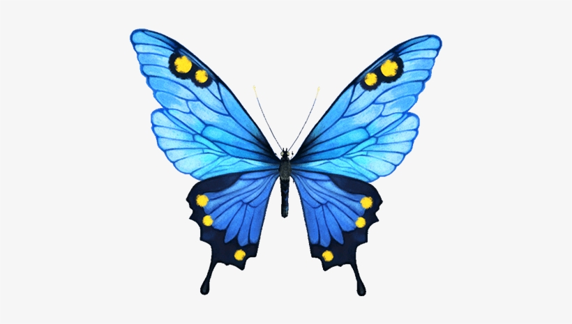 Official Infinity Blade Website - Blue Butterfly, transparent png download