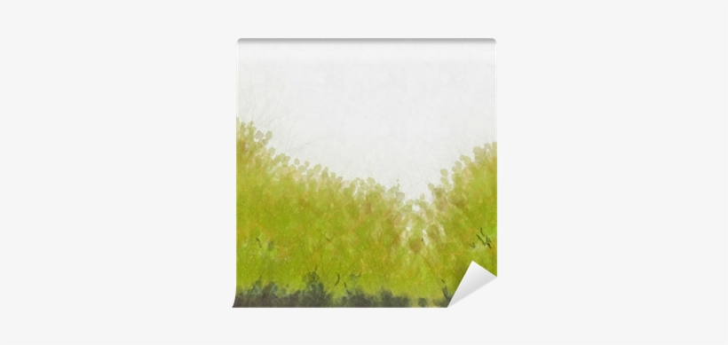 Watercolour Green Grass Background Wall Mural • Pixers® - Mural, transparent png download